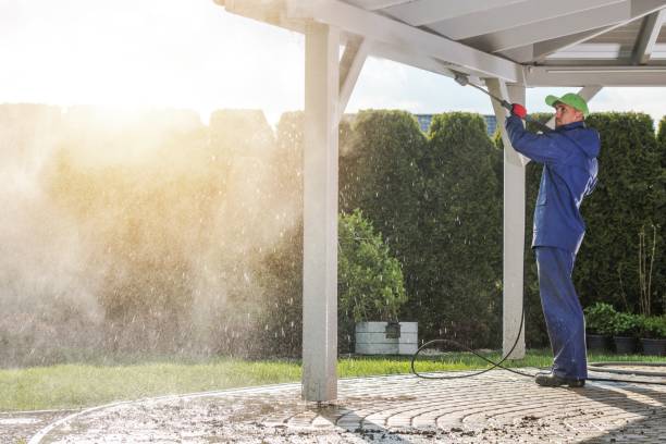 Best House Exterior Washing  in Linden, AL