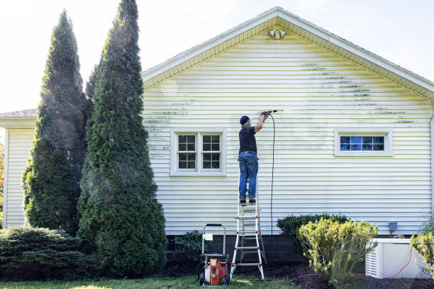 Best Restaurant Pressure Washing  in Linden, AL