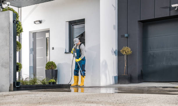 Best Driveway Pressure Washing  in Linden, AL